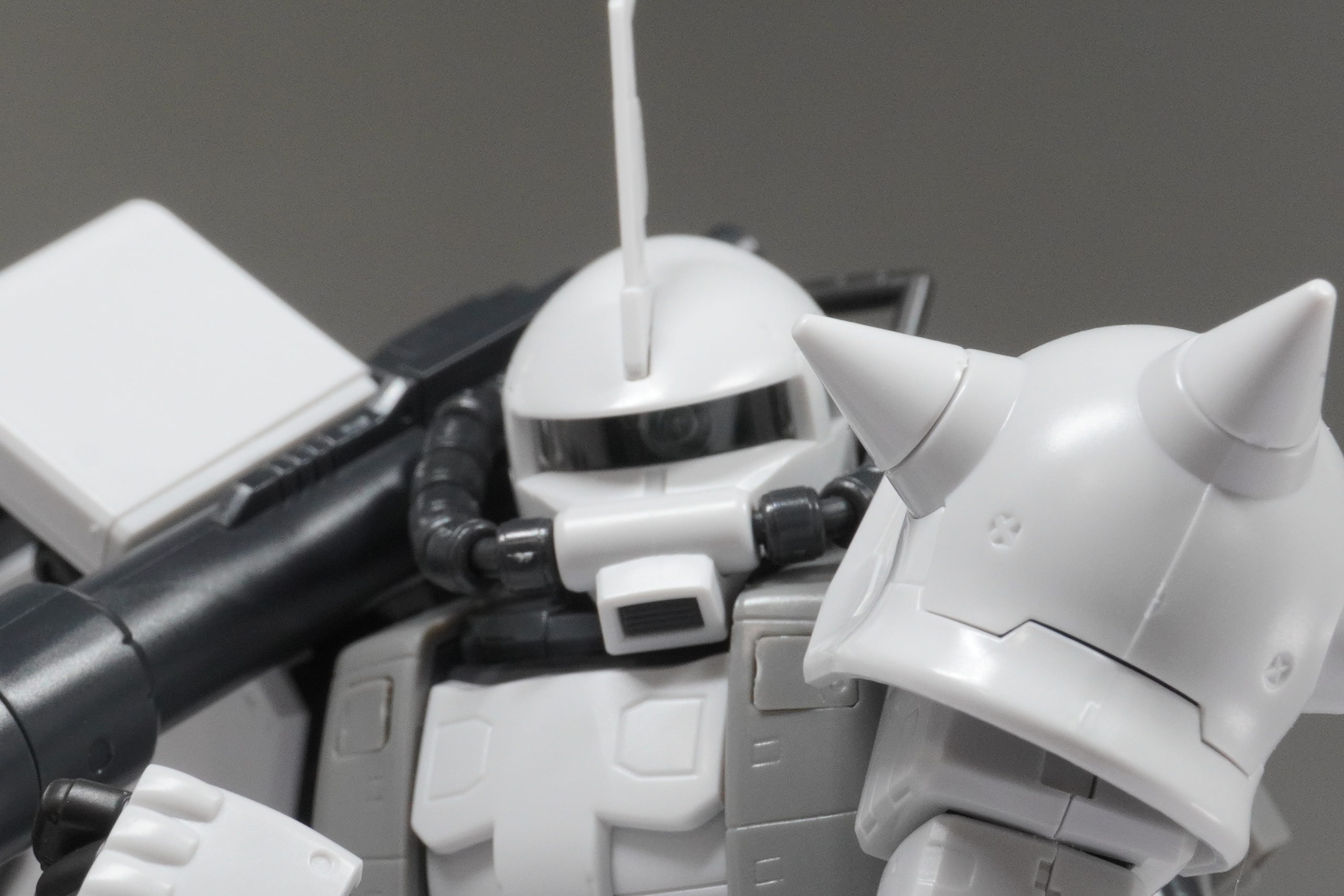 RG】MS-06R-1A シン・マツナガ専用ザクⅡ【プレバン】レビュー 